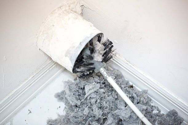 Best Air Duct Sanitizing Services  in Walkertown, NC
